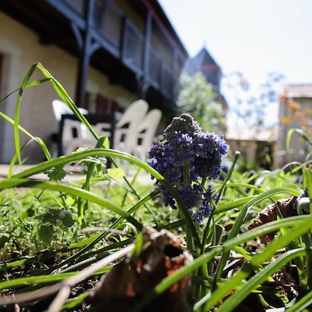 Au Repos Des Elfes Vila Braye-sous-Faye Exterior foto