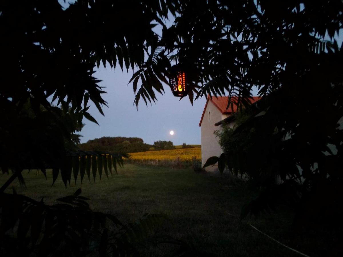 Au Repos Des Elfes Vila Braye-sous-Faye Exterior foto