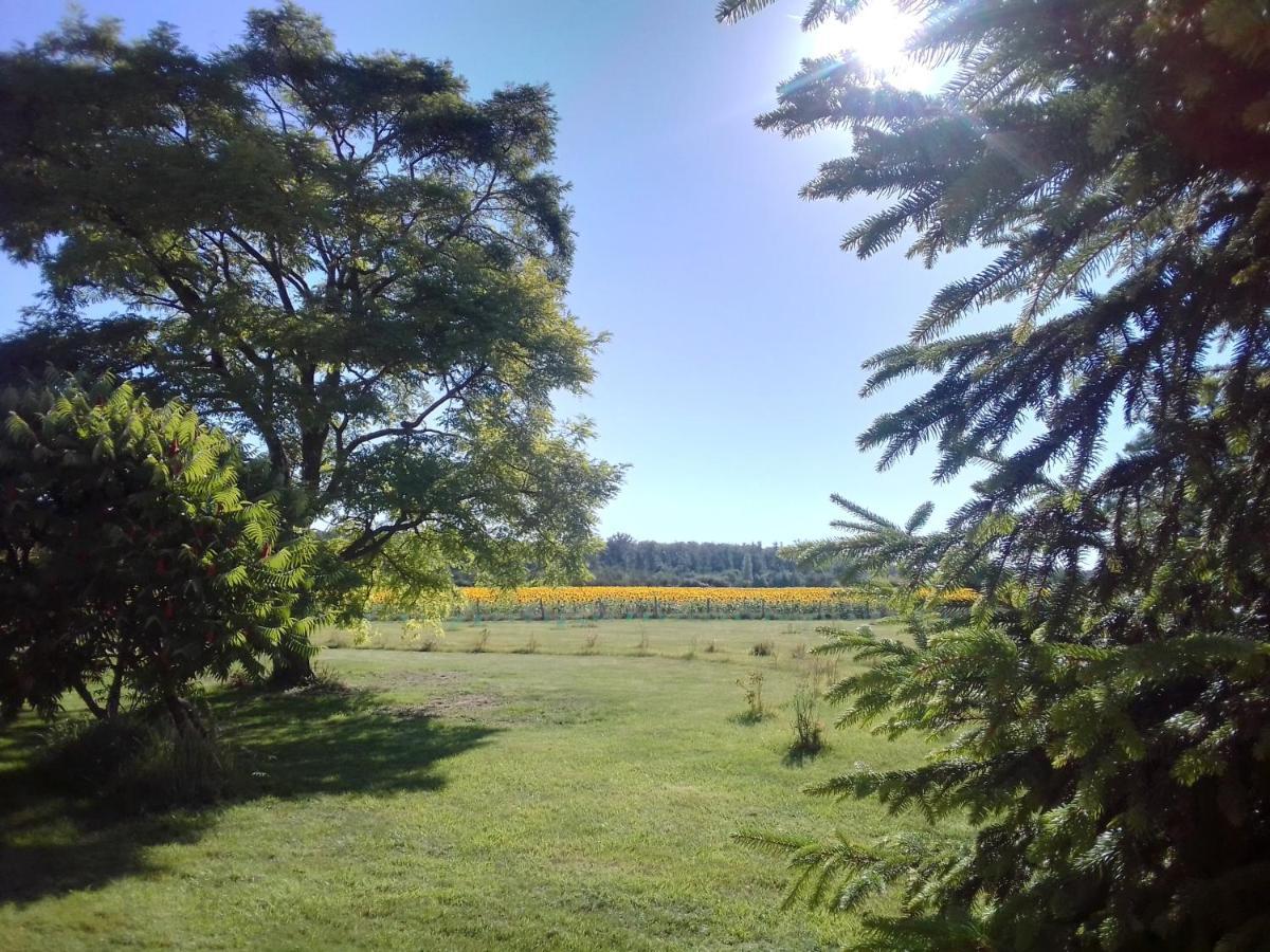 Au Repos Des Elfes Vila Braye-sous-Faye Exterior foto