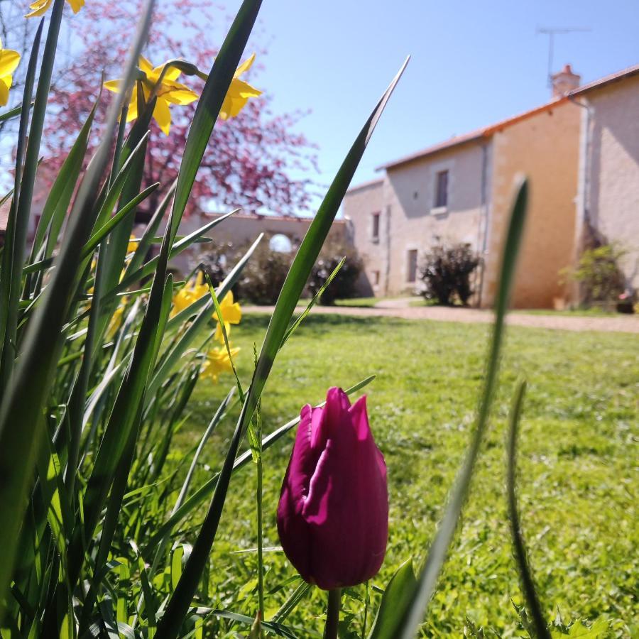 Au Repos Des Elfes Vila Braye-sous-Faye Exterior foto