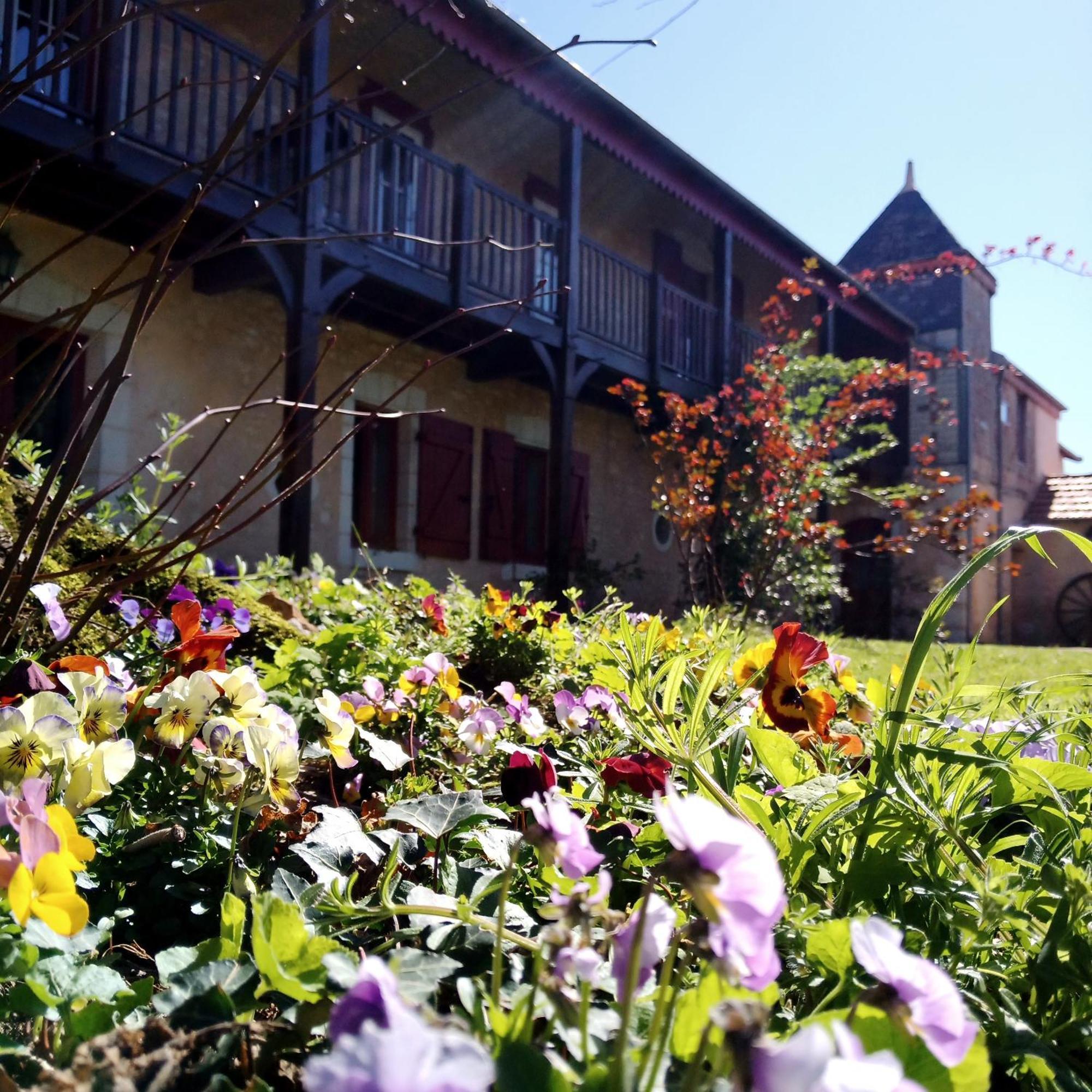 Au Repos Des Elfes Vila Braye-sous-Faye Exterior foto