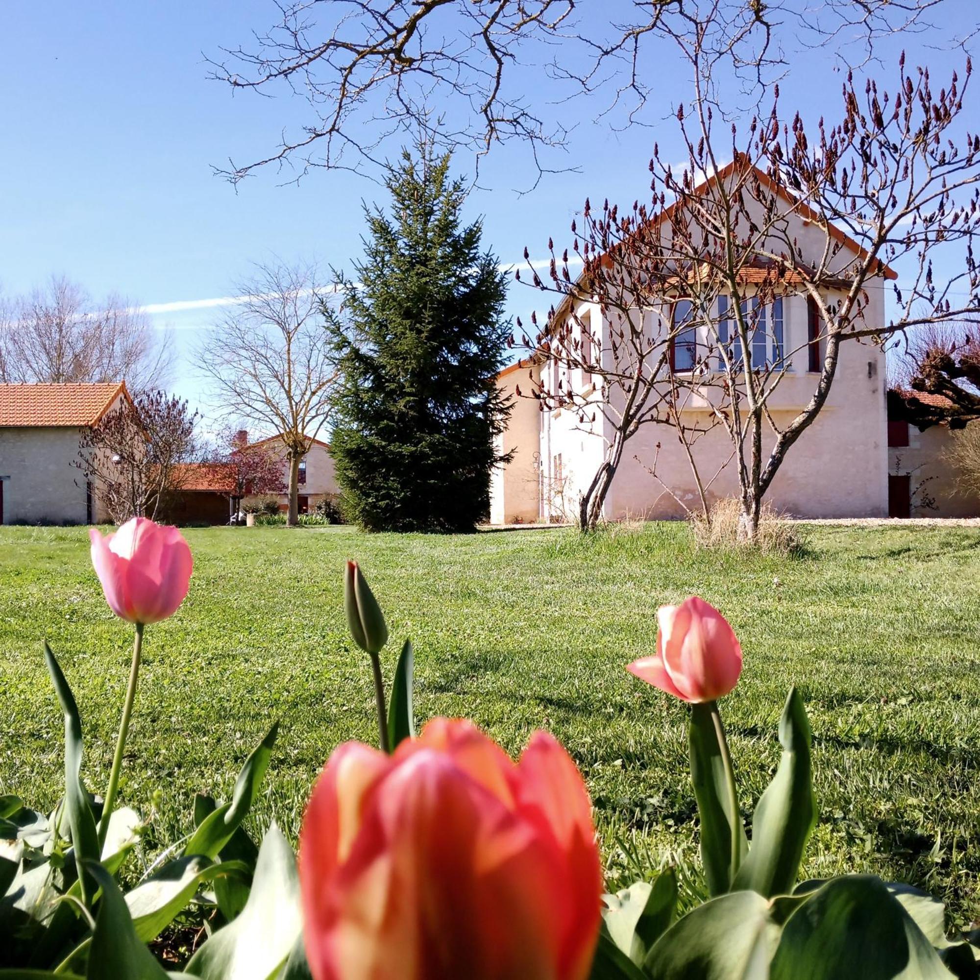 Au Repos Des Elfes Vila Braye-sous-Faye Exterior foto